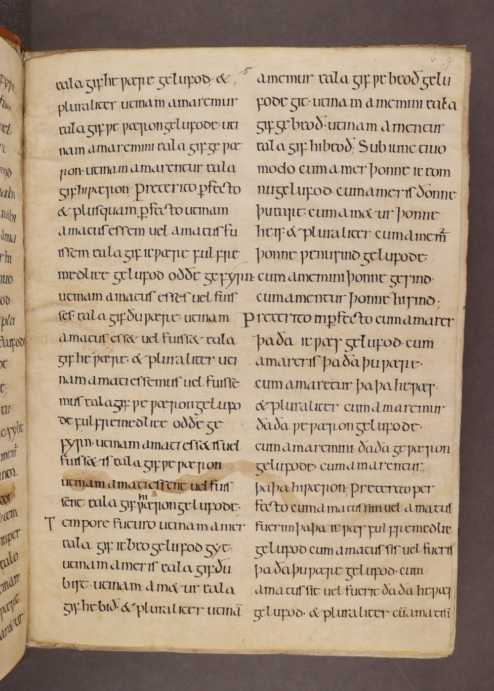Folio v recto